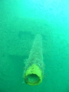 Diving2