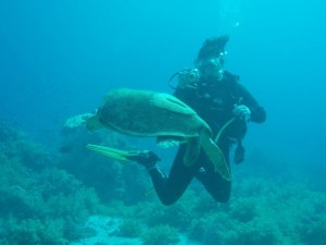 Scuba Diving Trip