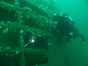 Diving9